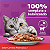 Ração Úmida para Gatos Adultos (+1 ano) Whiskas Sachê - Sabor Carne Jelly - 85g - Imagem 2