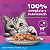 Ração Úmida para Gatos Adultos (+1 ano) Whiskas Sachê - Sabor Peixe Pescado Jelly - 85g - Imagem 2