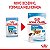 Sachê Royal Canin Mini Filhotes Puppy - Ração Úmida 85 g - Cães Filhotes de Pequeno Porte -2 a 10 meses - Imagem 6