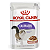 Sachê Royal Canin Castrados - Ração Úmida 85 g - Gatos Adultos Castrados - A Partir de 1 Ano de Idade - Imagem 1