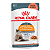 Sachê Royal Canin Pele e Pelagem - Ração Úmida 85 g - Gatos Adultos para Cuidados com a Pele e Pelos - Imagem 1