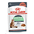 Sachê Royal Canin Digestive Care - Ração Úmida 85 g - Gatos Adultos - Digestação Saudável - Imagem 1