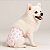 Fralda Descartável Cachorro Fêmea 30cm X 39cm - Fraldinhas para Cães - Tamanho PP - Absorvente - Contém 12 unidades - Chalesco - Imagem 3