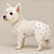 Fralda Descartável Cachorro Fêmea 30cm X 39cm - Fraldinhas para Cães - Tamanho PP - Absorvente - Contém 12 unidades - Chalesco - Imagem 4