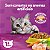 Ração Seca Whiskas Gatos Adultos +1 Ano Sabor Frango 900g - Alimento Premium - Imagem 3