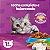 Ração Seca Whiskas Gatos Adultos +1 Ano Sabor Peixe 900g - Alimento Premium - Imagem 3