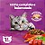 Ração Seca Whiskas Gatos Adultos +1 Ano Sabor Carne 900g - Alimento Premium - Imagem 3