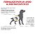 Ração Royal Canin Urinary S/0 2 KG Cães Adultos com Cálculos Urinários - Imagem 4