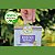 Biscoito Natural Assado Fit Brincalhão 250g - Petisco Para Cachorro Super Premium Formato Osso - Imagem 4