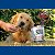 Biscoito Natural Assado Sabor Frutas Vermelhas Brincalhão 250g - Petisco Para Cachorro Super Premium Formato Osso - Imagem 5