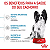 Ração Royal Canin X-Small Puppy Filhotes 2 a 10 meses de Idade Porte Miniatura até 4 kg - Imagem 3