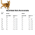 Ração Royal Canin Feline Fit Gatos Adultos em Manutenção A Partir de 1 Ano de Idade - Imagem 4