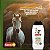 Shampoo Novapiel Para Cães, Gatos e Cavalos 250ml - Sanol Dog - Antiseborréico, Antibacteriano, Contra Dermatite - Imagem 2