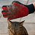 Luva Magnética Tira Pelos Lavável para Cães e Gatos - Higicare - Limpeza e Remoção dos Pelos - Imagem 4