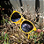 Óculos de Sol Polarizado UV 400 YE YE - Imagem 2