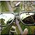 Óculos de Sol Polarizado UV 400 CAMALEÃO COBRE - Imagem 2