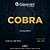 Corda Para Cavaquinho Com Bolinha Cobra Giannini - Imagem 1