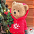 Urso Catatau Natalino - Imagem 2