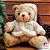 Urso Dourado - Imagem 1