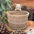 Cachepot Kitten - Imagem 1