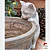 Cachepot Kitten - Imagem 3