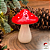 Cogumelo Floreira Champignon P - Imagem 1