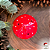 Cogumelo Floreira Amanita P - Imagem 2