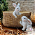 Cachepot com Coelhos - Imagem 1