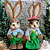 Casal de Coelhos Sr. e Sra. Green - Imagem 1