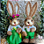Casal de Coelhos Sr. e Sra. Green - Imagem 1