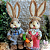 Casal Coelhos Peter e Beatrice - Imagem 1