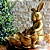 Coelho com Tigela Golden - Imagem 2