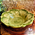 Prato de Sopa/Bowl Cabbage - Imagem 3