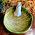 Bowl Cabbage com Coelhinho - Imagem 2