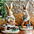 Coelhos Astolfo e Pétala - Imagem 1