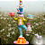 Coelho Frank Equilibrista Wonderland - Imagem 1