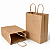 Kit 500 Sacolas Kraft com Alça Torcida 18x22x9cm para Delivery - Imagem 1