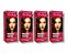 Kit Alta Moda 5.65 Vinho Escuro Marsals Coloração Creme (4 unidades) Alfaparf - Imagem 1