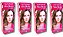 Kit Alta Moda 6.0 Mel Louro Escuro Coloração Creme (4 unidades) Alfaparf - Imagem 1