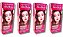 Kit Alta Moda 6.66 Rubi Vermelho Intenso Coloração Creme (4 unidades) Alfaparf - Imagem 1