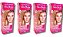 Kit Alta Moda 8.0 Louro Claro Coloração Creme (4 unidades) Alfaparf - Imagem 1