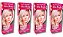 Kit Alta Moda 9.1 Louro Claríssimo Cinza Coloração Creme (4 unidades) Alfaparf - Imagem 1