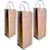 200 Sacolas Kraft Para Garrafas De Vinhos Bebidas 14x39x9 - Imagem 2