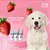 Creme Dental Pet Clean 60g - Imagem 4