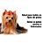 Condicionador Pet Clean Cães e Gatos 700ML - Imagem 4