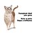 Shampoo e Condicionador Pet Clean Gatos 700ML - Imagem 4