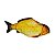 Peixe Com Movimento - Imagem 3