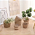 Vaso De Rattan Tecido Artesanal Vaso De Plantas, Tecelagem De Palha, Armazenamento, Jardim, Plantas - Imagem 4