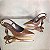 Scarpin Slingback Carolina Marrom - Imagem 3