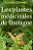LES PLANTES MÉDICINALES DE BRETAGNE - LUCIEN DANIEL - Imagem 1